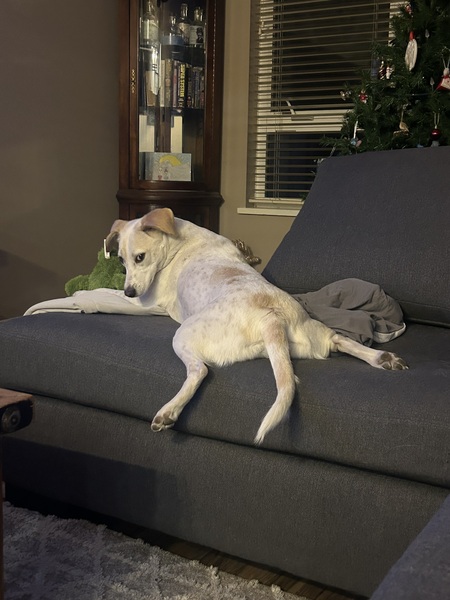 Entry image for Rita. Clicking this image will show a larger photo