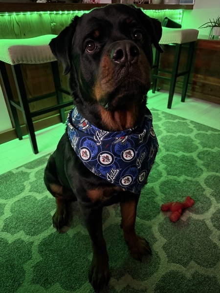 Entry image for Jugghead . Clicking this image will show a larger photo