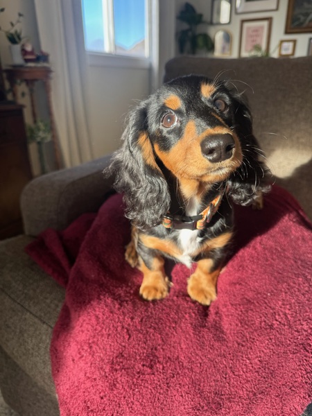 Entry image for Tony . Clicking this image will show a larger photo