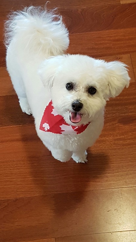 Entry image for Heidi. Clicking this image will show a larger photo