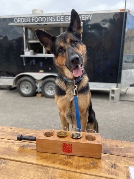 Entry image for Dax . Clicking this image will show a larger photo