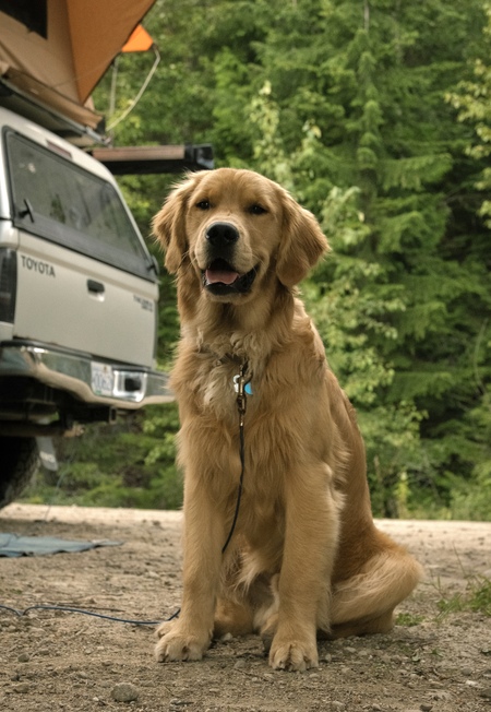 Entry image for Garth Barks. Clicking this image will show a larger photo