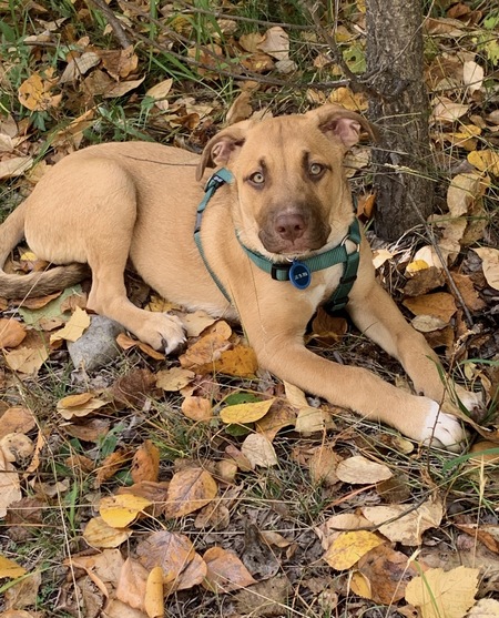 Entry image for Oakley . Clicking this image will show a larger photo