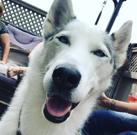 Entry image for Sora . Clicking this image will show a larger photo