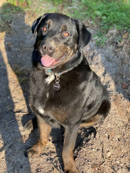 Entry image for Aschym. Clicking this image will show a larger photo