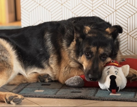 Entry image for Kitty kat . Clicking this image will show a larger photo