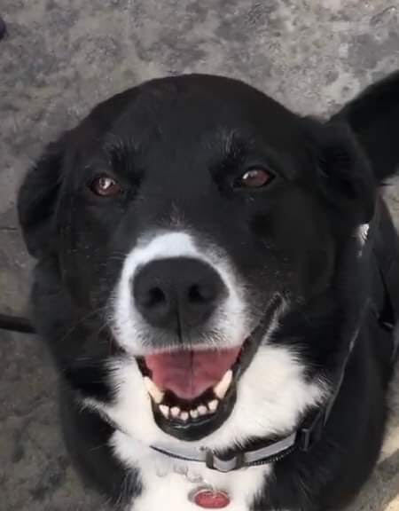 Entry image for Zola. Clicking this image will show a larger photo