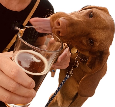 Entry image for Pearl. Clicking this image will show a larger photo