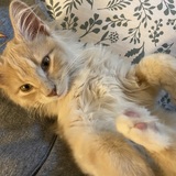 Entry image for Kevin