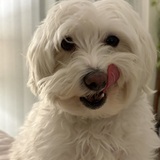 Entry image for Dave from Kelowna Culbert