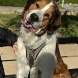 Entry image for Blue