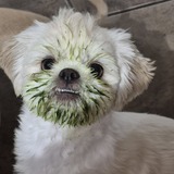 Entry image for Tucker