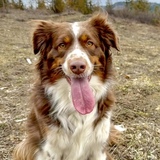 Entry image for Ruby