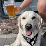 Entry image for Maisie