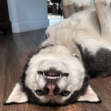 Entry image for Tori