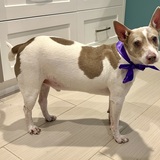 Entry image for Elliott