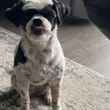 Entry image for Kiyomi