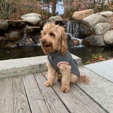 Entry image for Charley