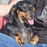 Entry image for Kush