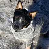 Entry image for Lincoln