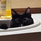 Entry image for Sugar