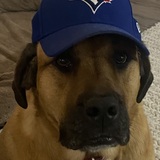 Entry image for Wrigley