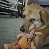 Entry image for Frida Howl