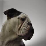 Entry image for Berkley 