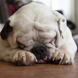 Entry image for Stanley 