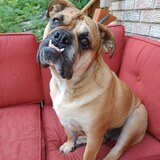 Entry image for Arthur