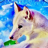 Entry image for Gruffle Chips