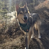 Entry image for Beans