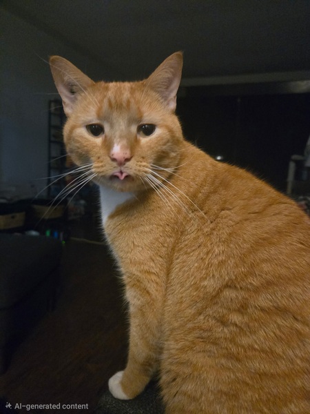 Entry image for Goose . Clicking this image will show a larger photo