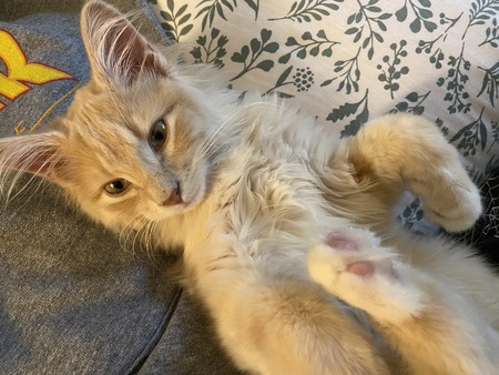 Entry image for Kevin. Clicking this image will show a larger photo