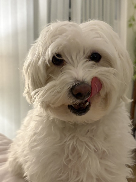 Entry image for Dave from Kelowna Culbert. Clicking this image will show a larger photo