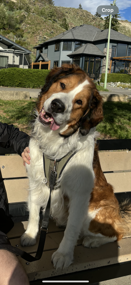 Entry image for Blue. Clicking this image will show a larger photo