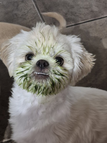 Entry image for Tucker. Clicking this image will show a larger photo