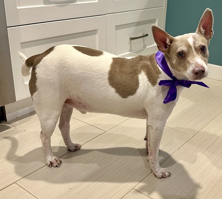 Entry image for Elliott. Clicking this image will show a larger photo