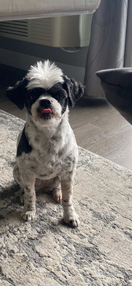 Entry image for Kiyomi. Clicking this image will show a larger photo