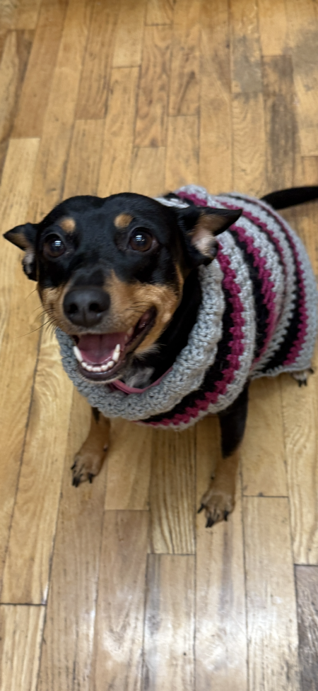 Entry image for Pia. Clicking this image will show a larger photo