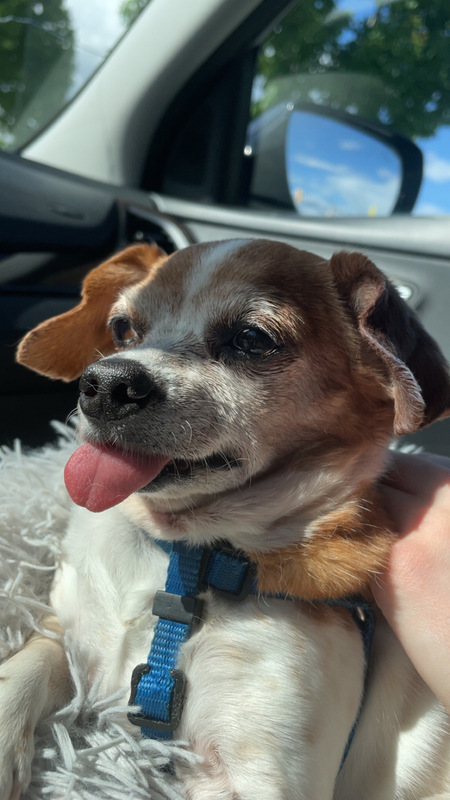 Entry image for Tia. Clicking this image will show a larger photo