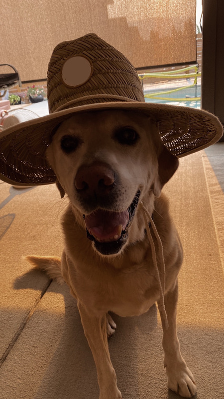 Entry image for Nixon. Clicking this image will show a larger photo