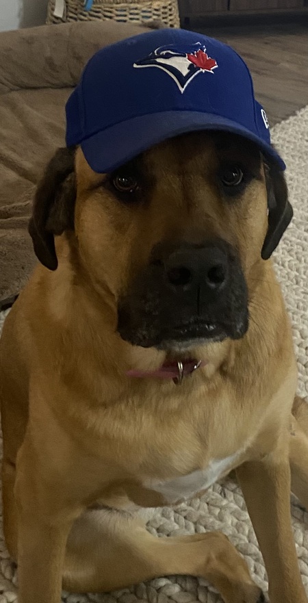 Entry image for Wrigley. Clicking this image will show a larger photo