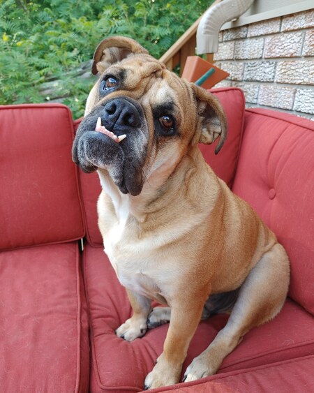 Entry image for Arthur. Clicking this image will show a larger photo