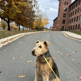 Entry image for Avery 