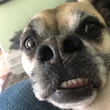 Entry image for Eggroll 