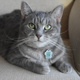 Entry image for Mindy