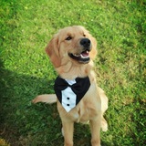 Entry image for Maverick 