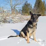 Entry image for Luke