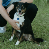 Entry image for Brew